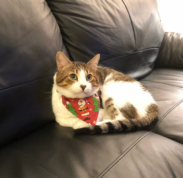 Handmade Christmas Pet Bandana | Over-the-Collar for Dogs & Cats