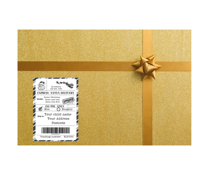 Personalised Santa shipping label – Express North Pole Delivery, custom name and address, 10x15 cm standard size, festive Christmas design
